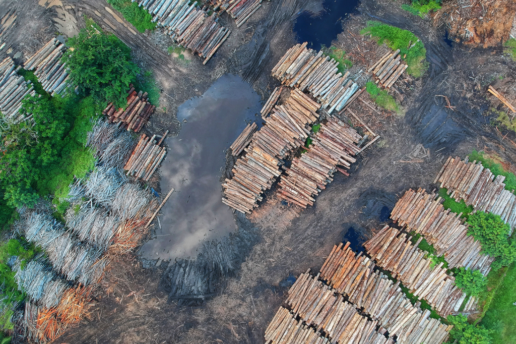 resposta-para-o-aumento-do-desmatamento-na-amazonia-pode-vir-do-congresso-nacional-conheca-o-pl-do-desmatamento-zero